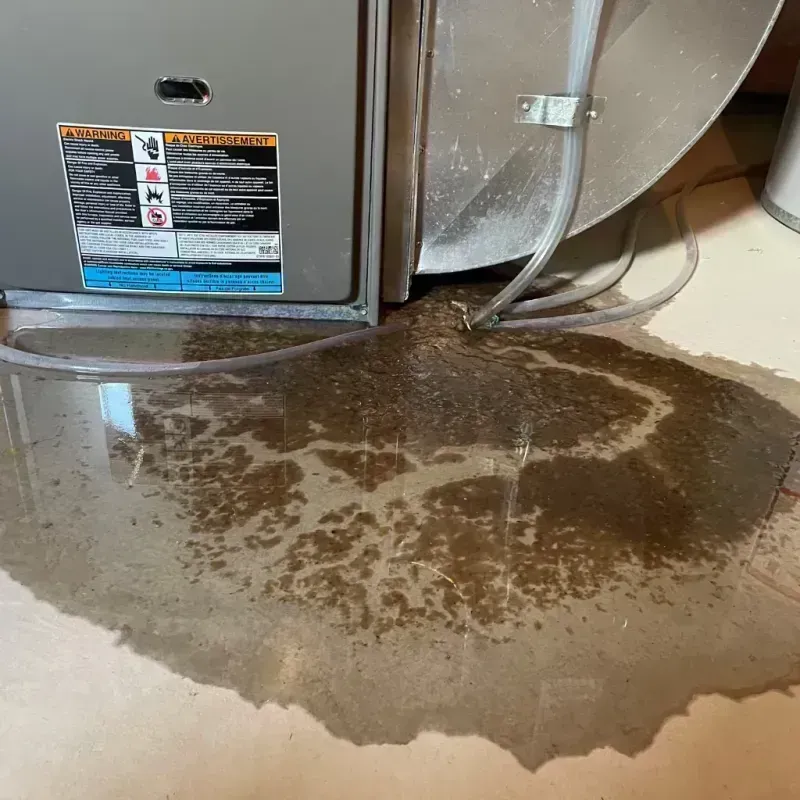 Appliance Leak Cleanup in Bannockburn, IL